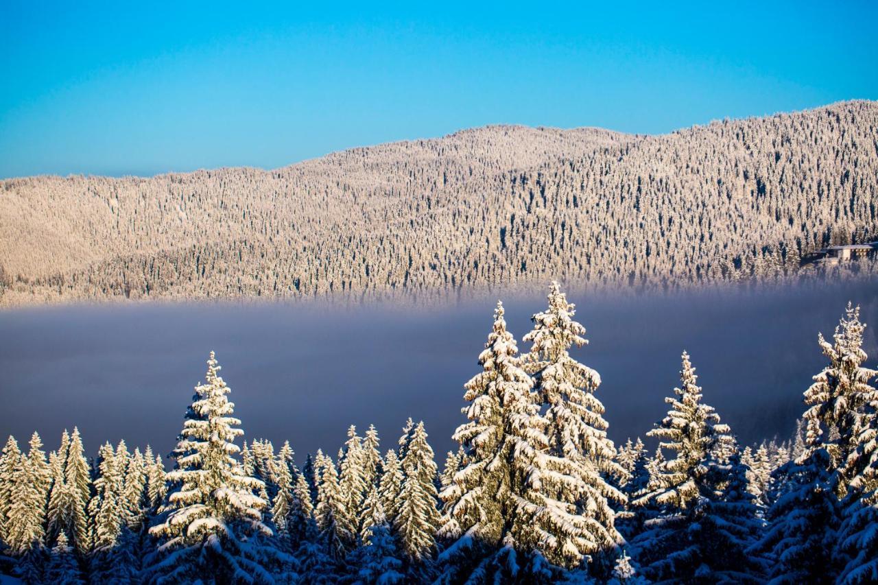 Sunny Hills Ski&Wellness Pamporovo Eksteriør bilde