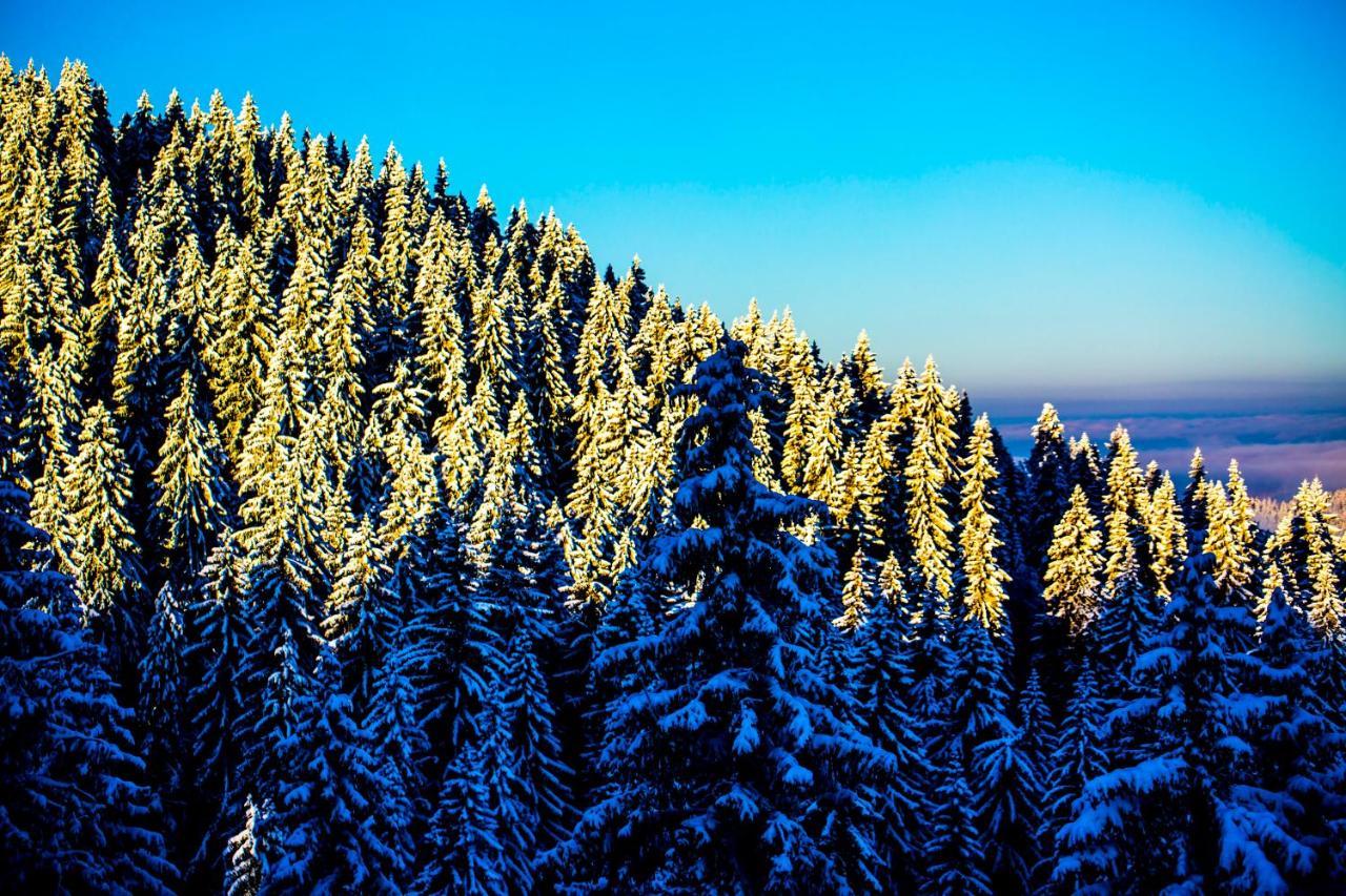 Sunny Hills Ski&Wellness Pamporovo Eksteriør bilde
