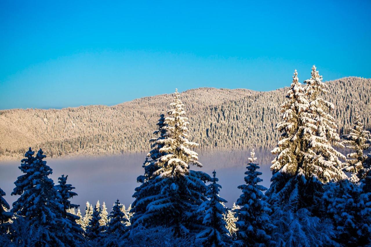 Sunny Hills Ski&Wellness Pamporovo Eksteriør bilde