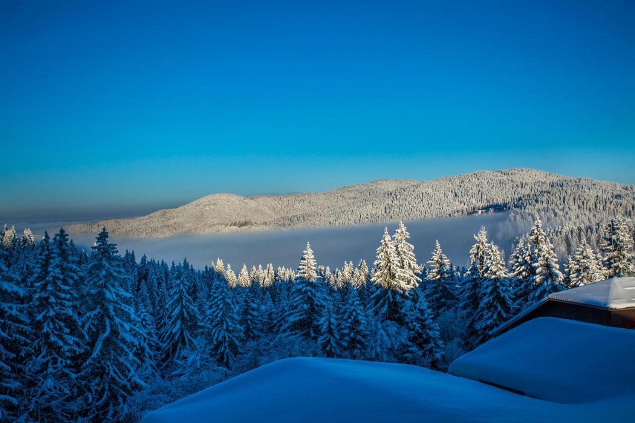 Sunny Hills Ski&Wellness Pamporovo Eksteriør bilde