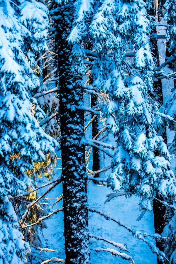 Sunny Hills Ski&Wellness Pamporovo Eksteriør bilde