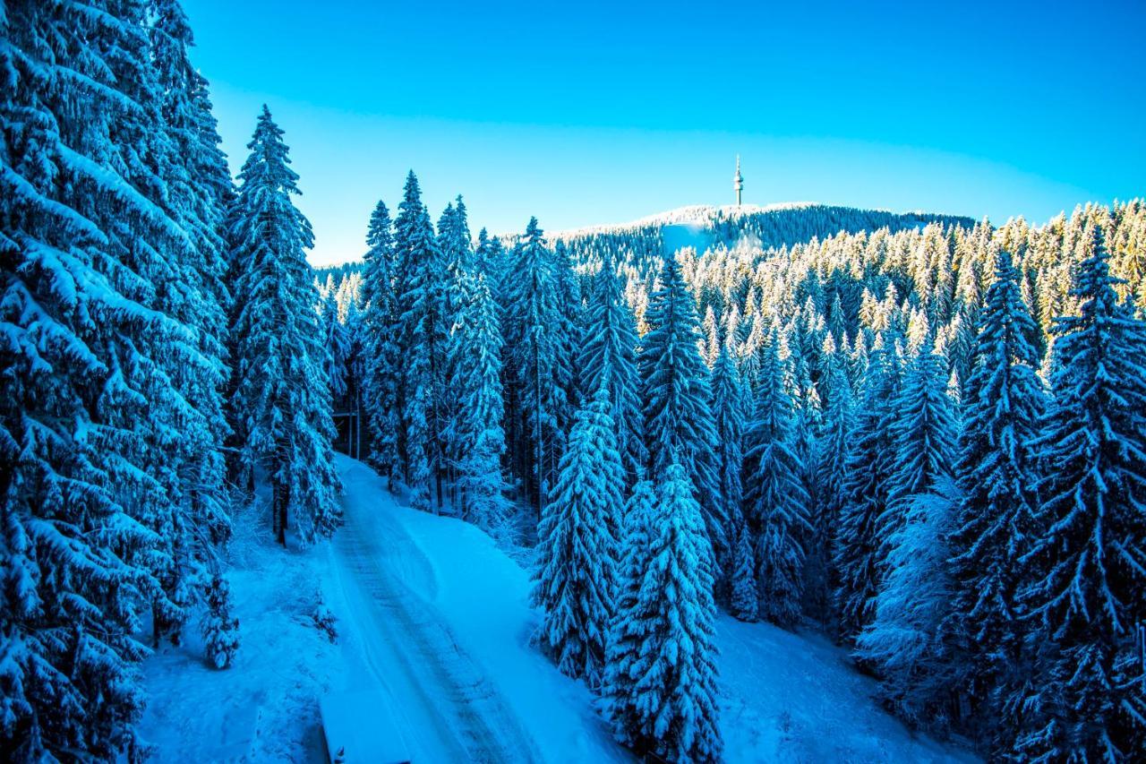 Sunny Hills Ski&Wellness Pamporovo Eksteriør bilde