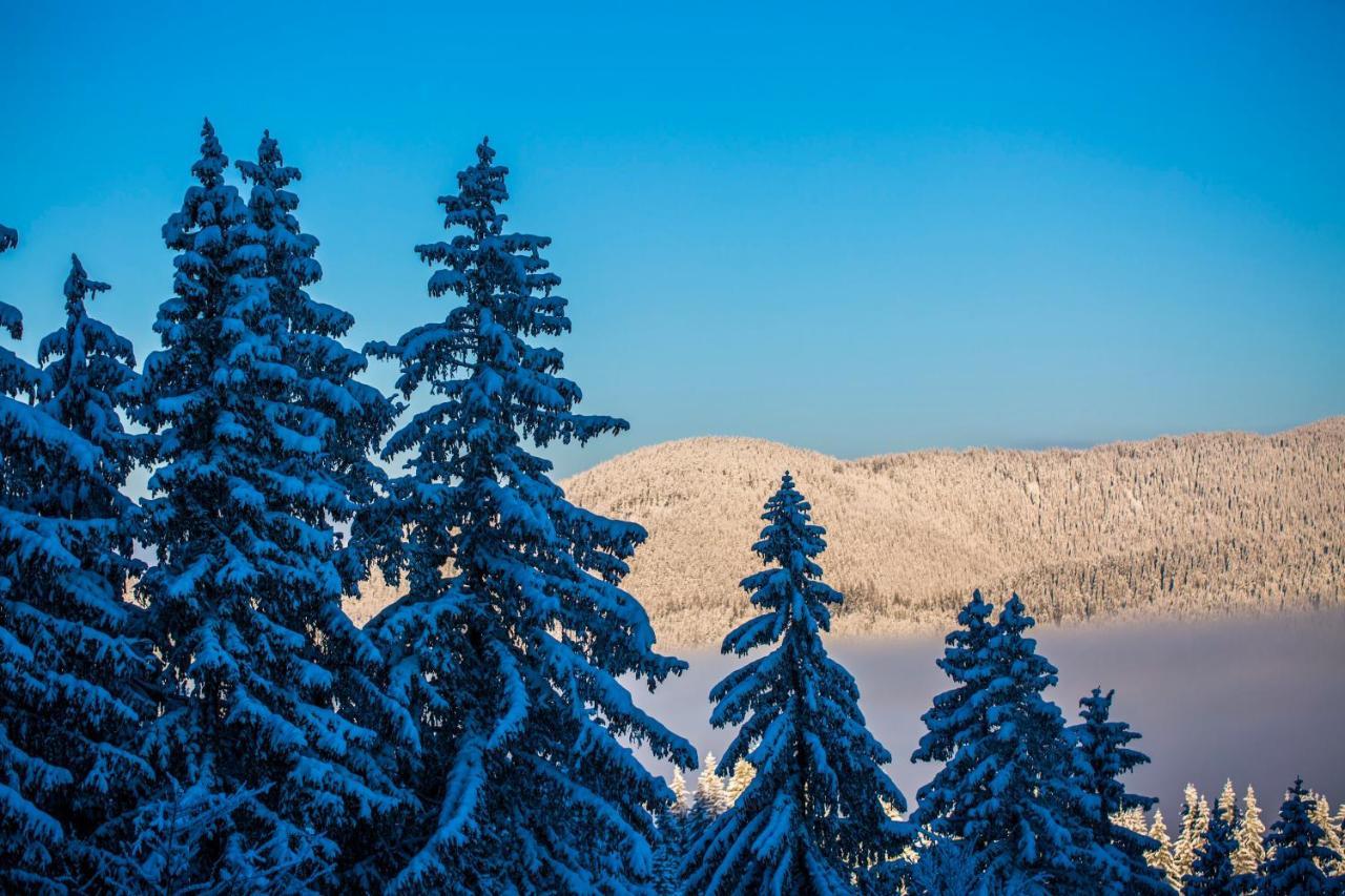 Sunny Hills Ski&Wellness Pamporovo Eksteriør bilde
