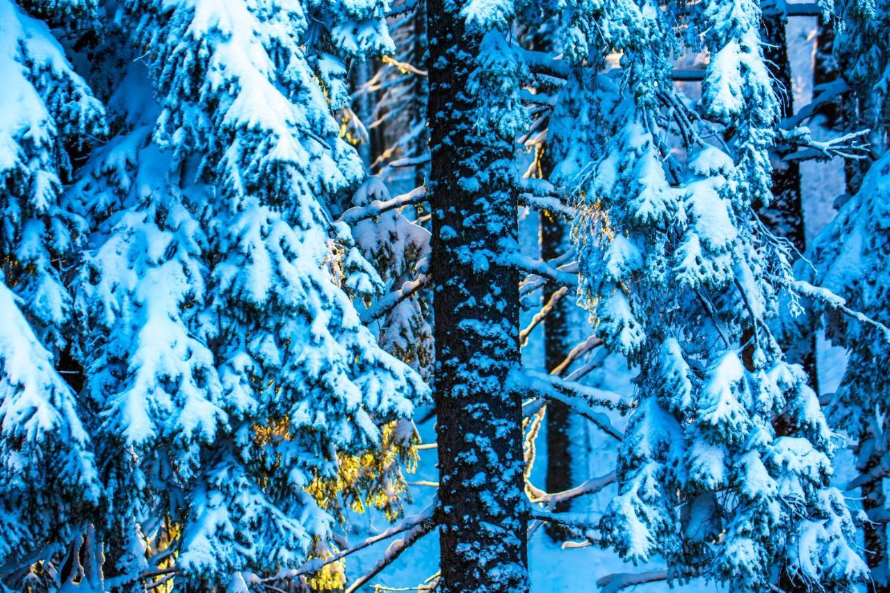 Sunny Hills Ski&Wellness Pamporovo Eksteriør bilde