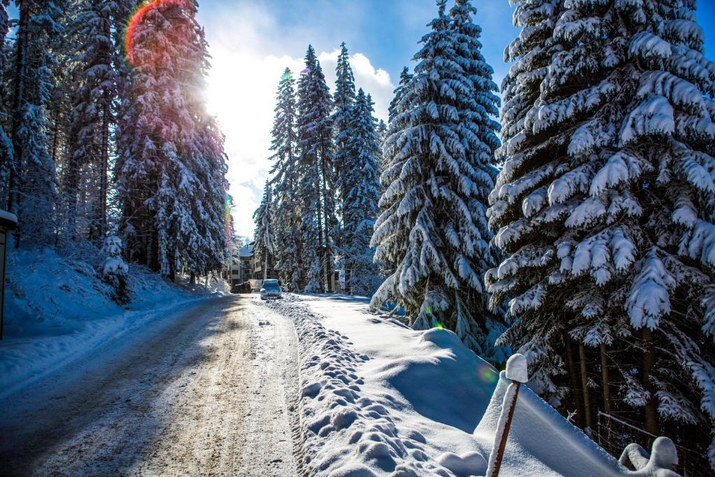 Sunny Hills Ski&Wellness Pamporovo Eksteriør bilde