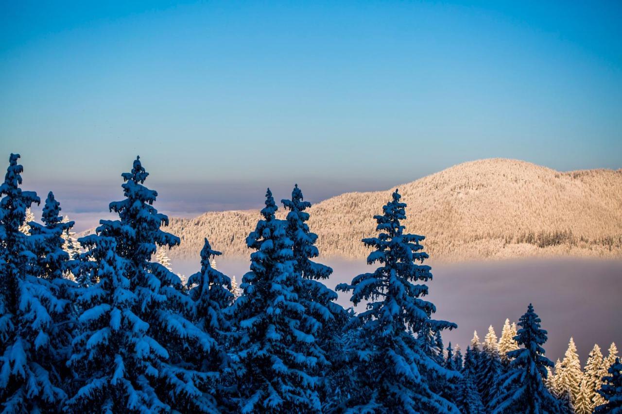 Sunny Hills Ski&Wellness Pamporovo Eksteriør bilde