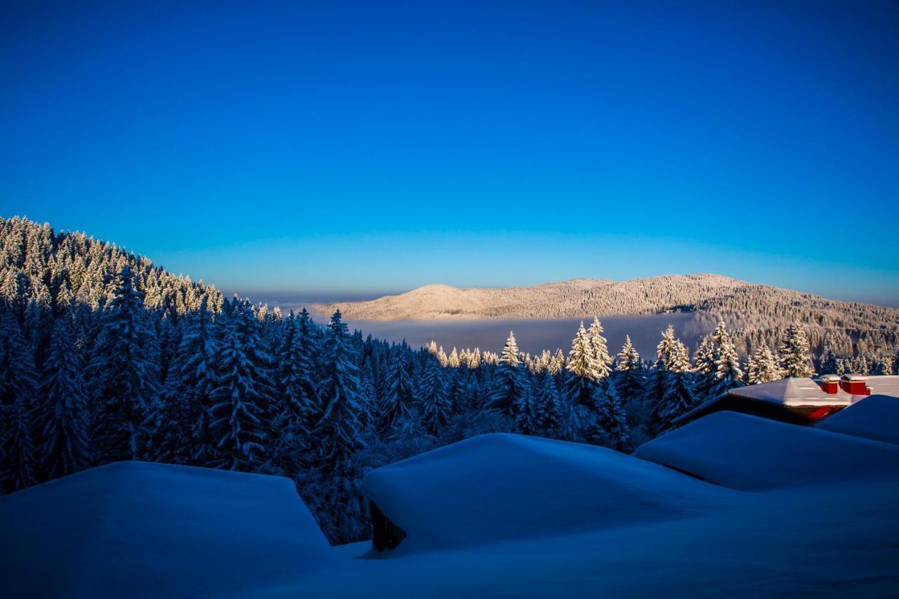 Sunny Hills Ski&Wellness Pamporovo Eksteriør bilde