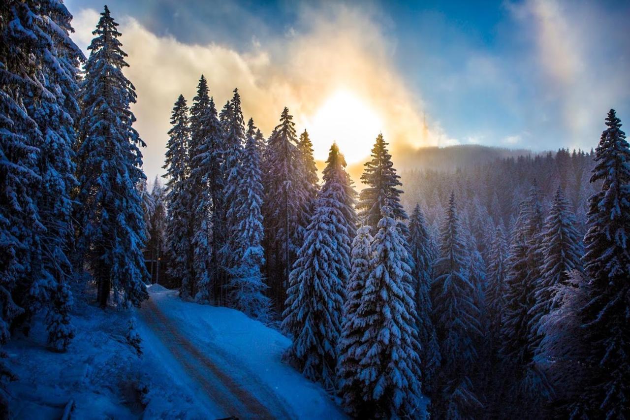 Sunny Hills Ski&Wellness Pamporovo Eksteriør bilde
